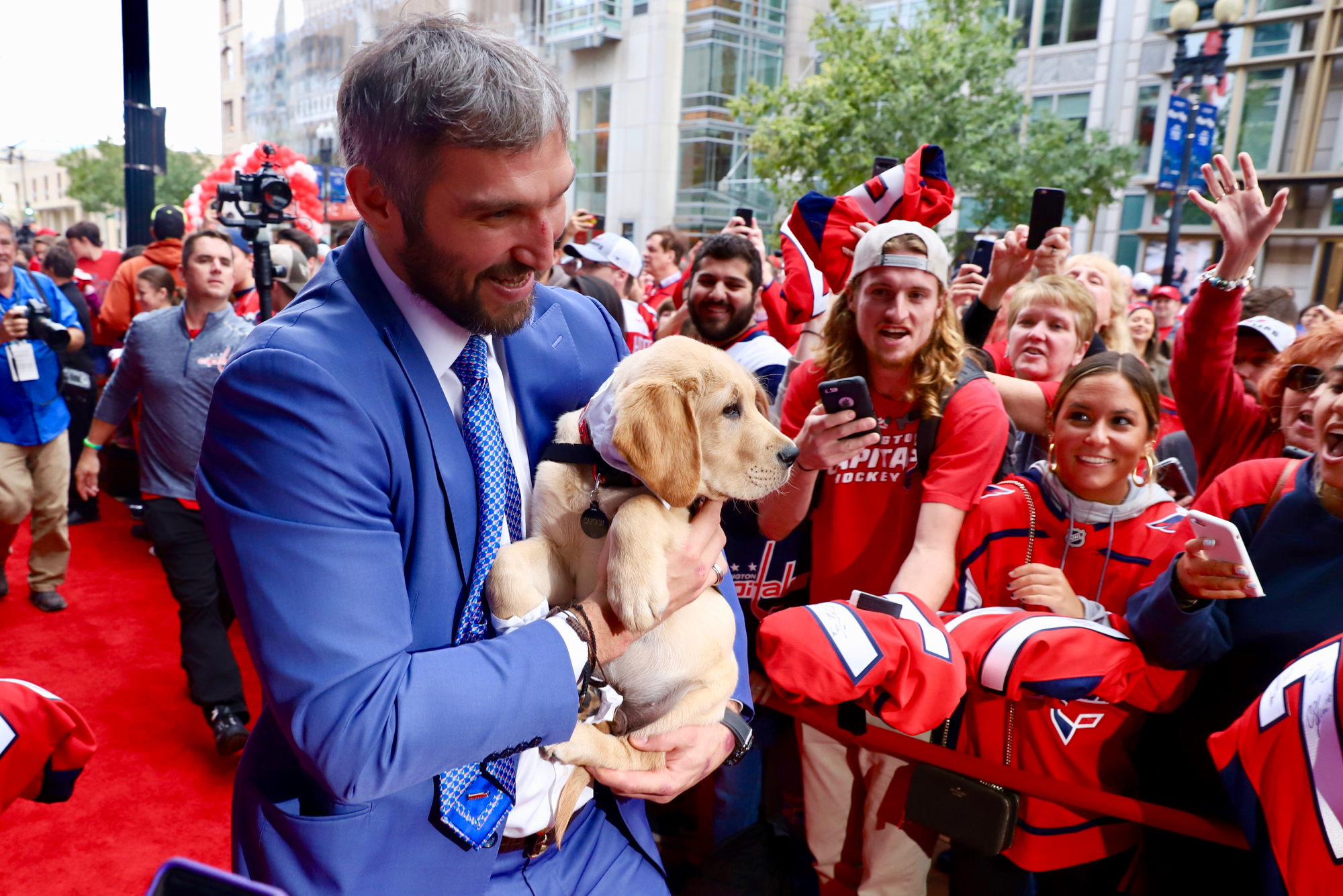 capitals dog jersey
