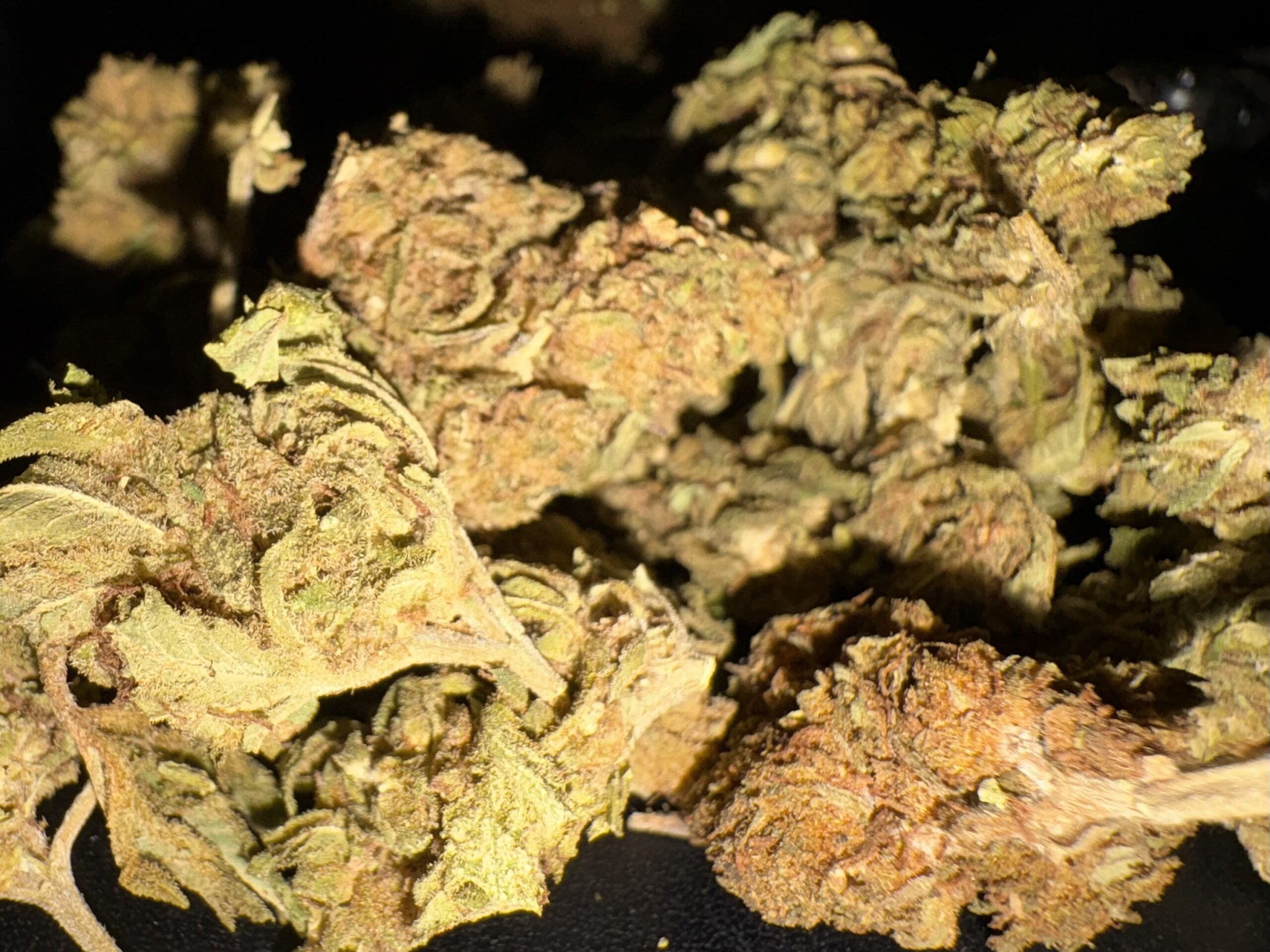 Grumete Mix -- -Mezcla flores CBD Amnesia, Kush, Hazhe, Gelato