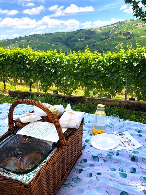 Gourmet picnic basket Langhe Piedmont Italy Vineyard Authentic flavours