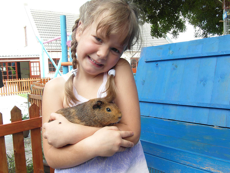 Capri Preprimary School Pets