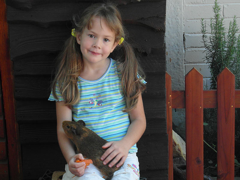 Capri Preprimary School Pets