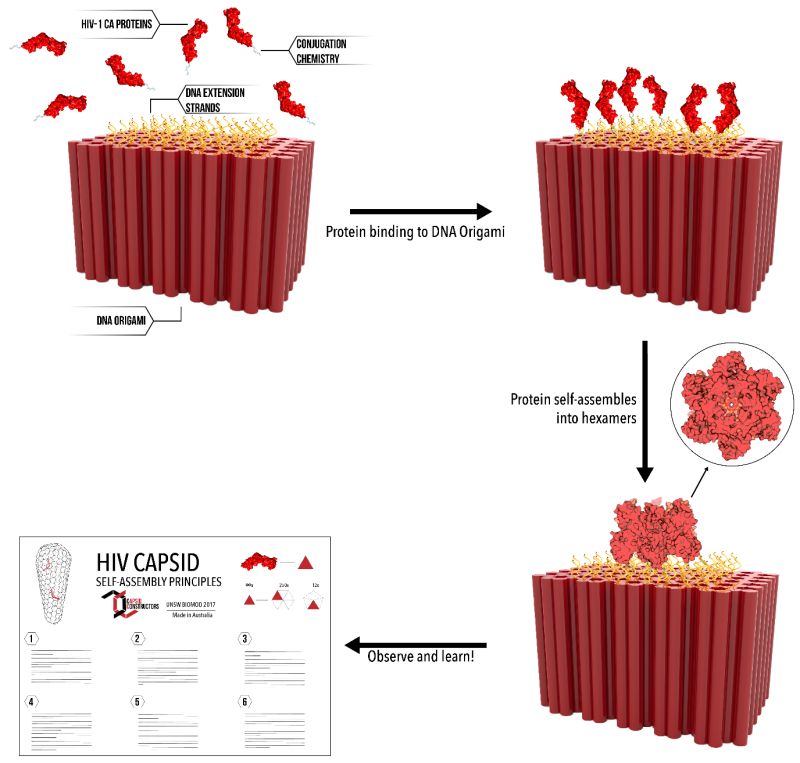Capsid Constructors - Classic Abstract Image - Ultra HD