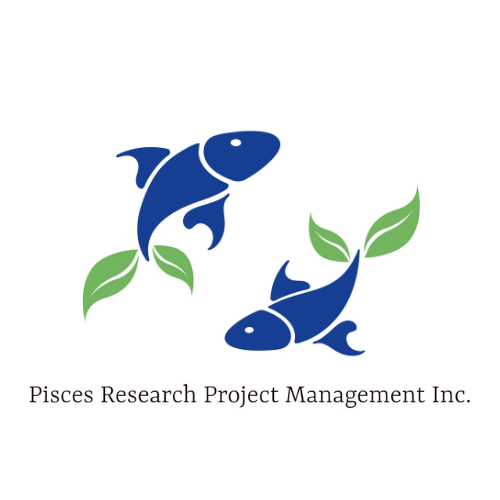 Project Management Solutions Capstone Project Solutions - Premium City Background Gallery - Mobile