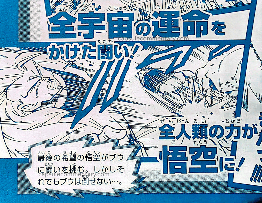 Dragon Ball Z: Legendary Super Warriors Official Game Guide page 129. "Goku, the last hope, challenges Buu to battle. But even so, Buu cannot be defeated…"