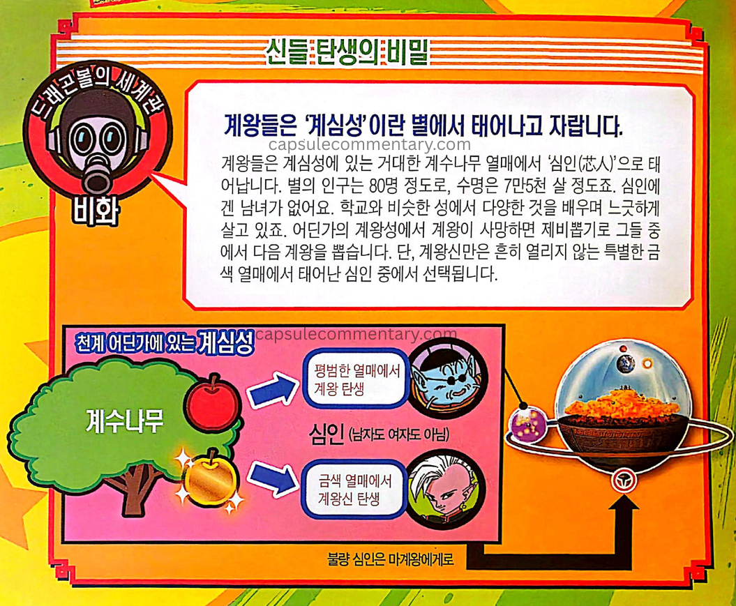 Dragon Ball Full Color: Majin Buu Arc Vol. 6 page 229. This is in Korean, sorry. However, I've found the Korean translations to be very faithful. Toriyama: "The Kaiō are born and raised on a planet called 'Kaiōshin-sei.' The Kaiō are born as 'Shinjin' from the giant Kaiju tree's fruit on Kaiōshin-sei. The planet's population is about 80, and their lifespan is around 75,000 years. Shinjin have no gender. They live leisurely, learning various things in a school-like setting. When a Kaiō on some Kaiō planet dies, the next Kaiō is chosen from among them by lottery. However, the Kaiōshin is selected from among the Shinjin born from a special golden fruit that rarely opens."