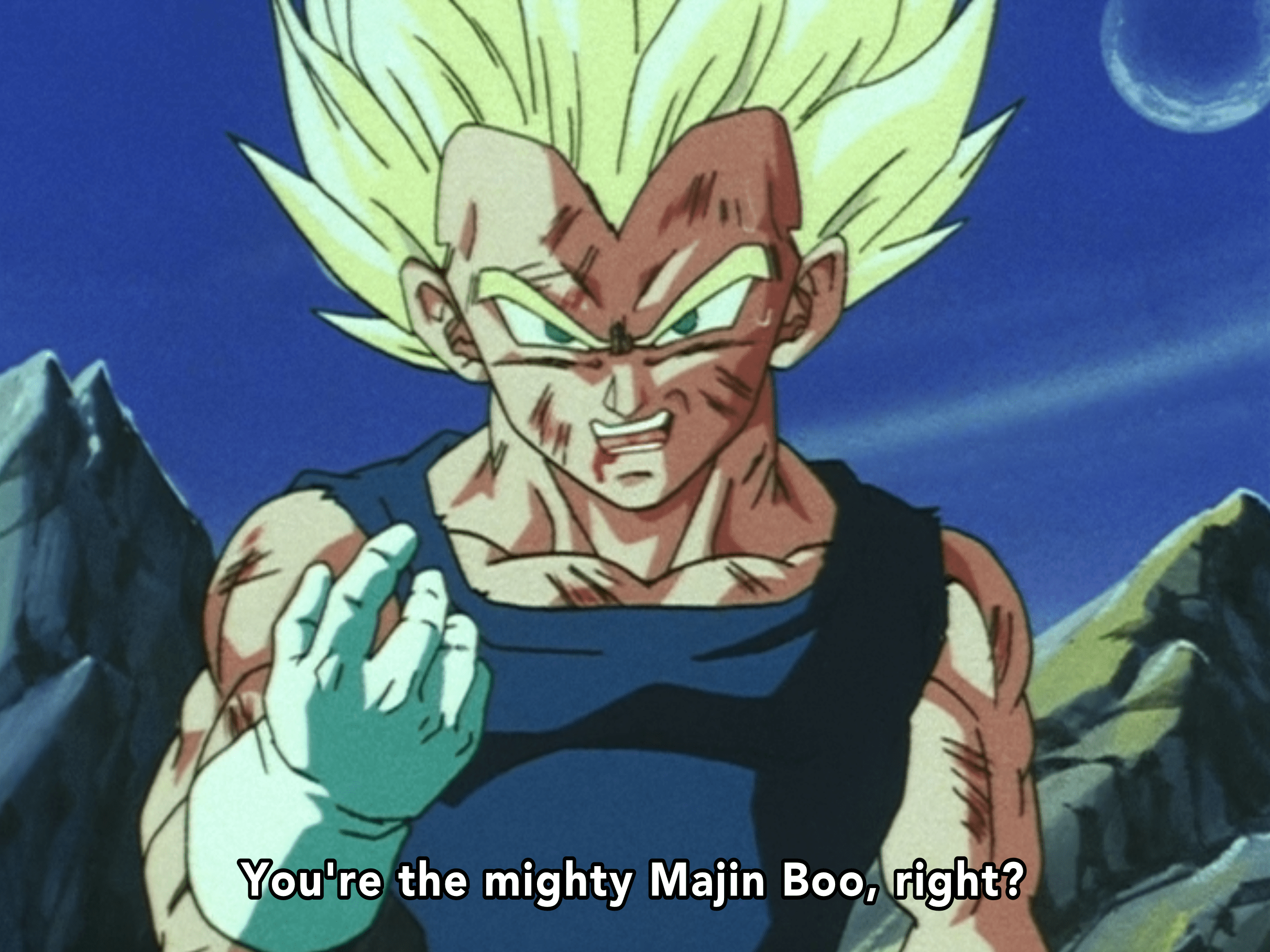 Spoken by Vegeta in Dragon Ball Z episode 281. The subtitles in this picture are actually wrong. What Vegeta actually says is: “So you’re the strongest Majin, huh?”