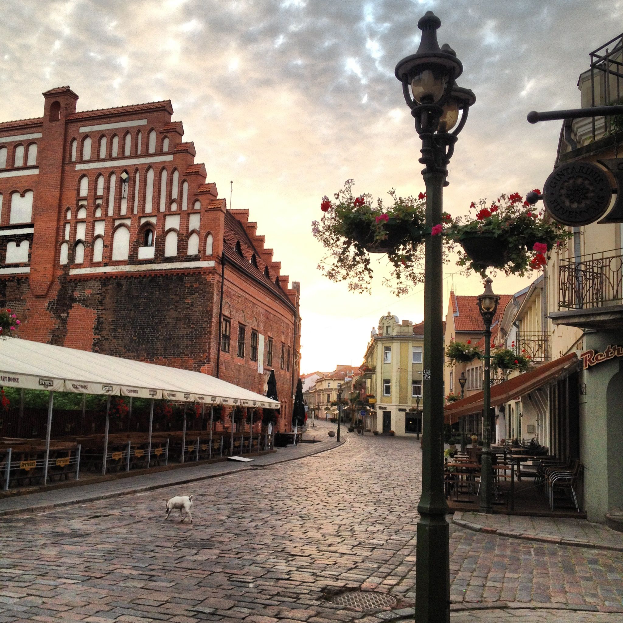 Looking towards the Light