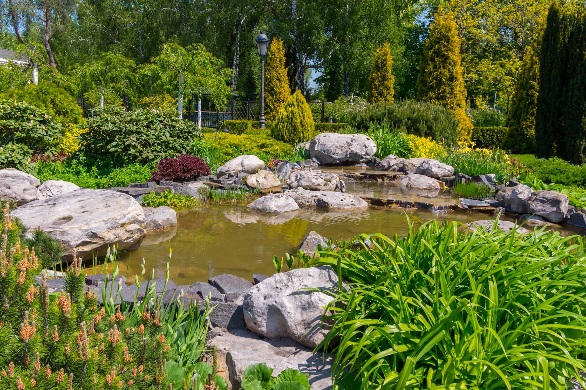 How to fix your pond smell and promote healthy water