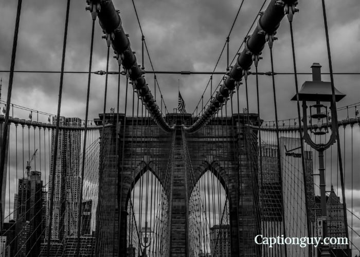 No Caption Necessary Nyc - Premium Ocean Wallpaper Gallery - HD