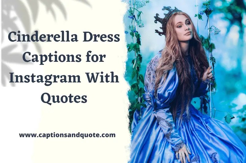 360+ cinderella dress captions for instagram with quotes