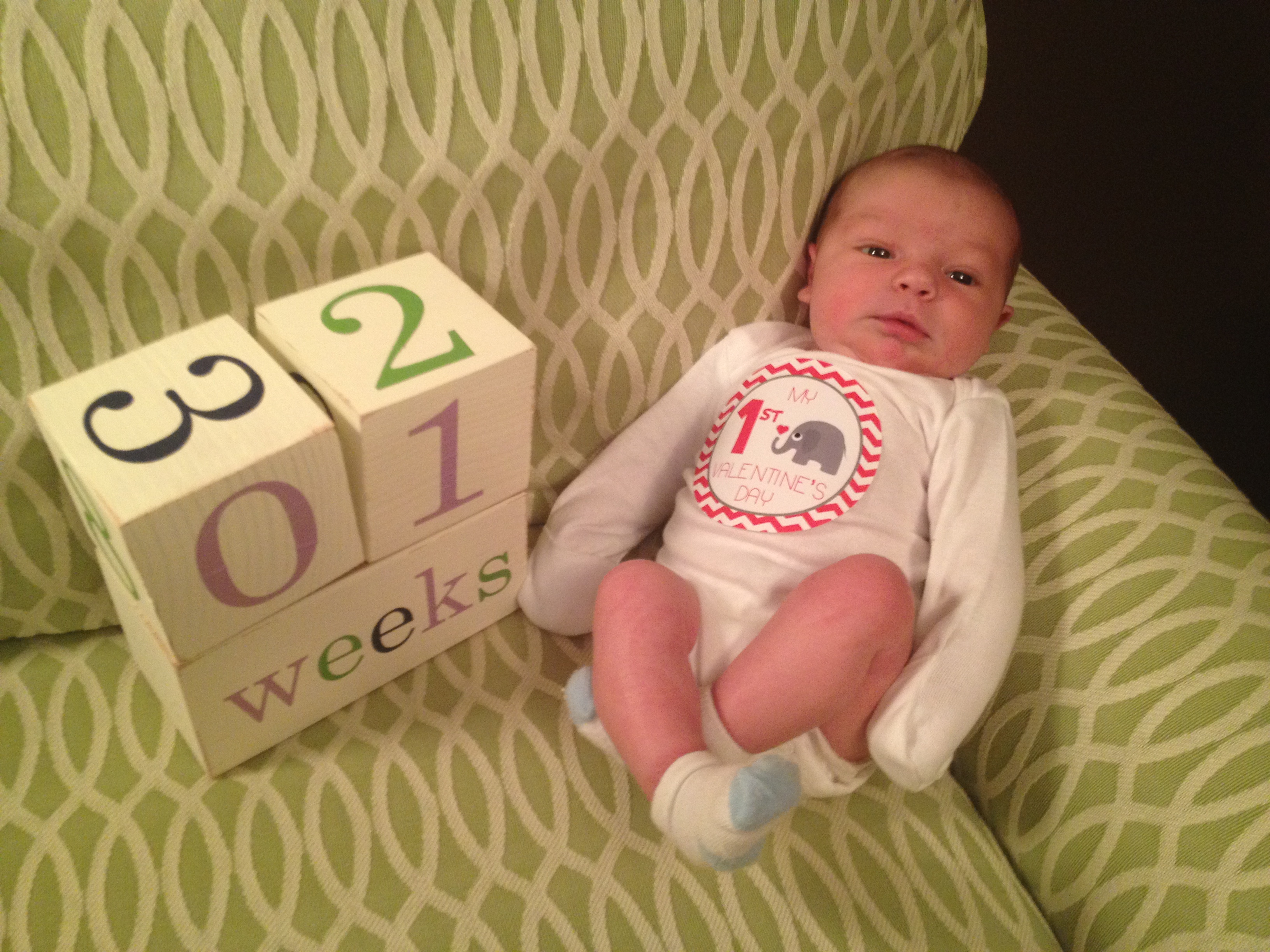 1 week old_RBD (1)