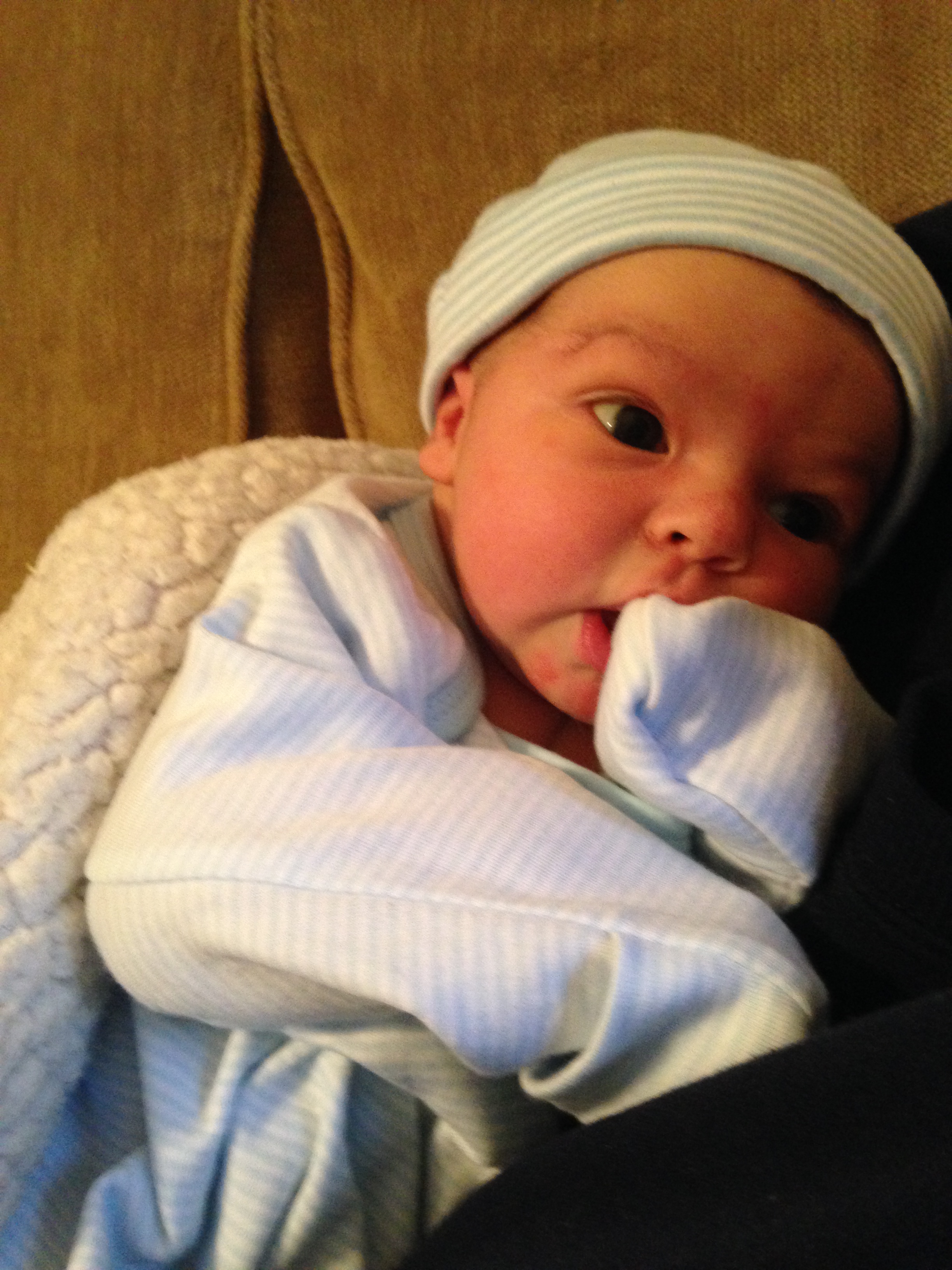 1 week old_RBD (9)