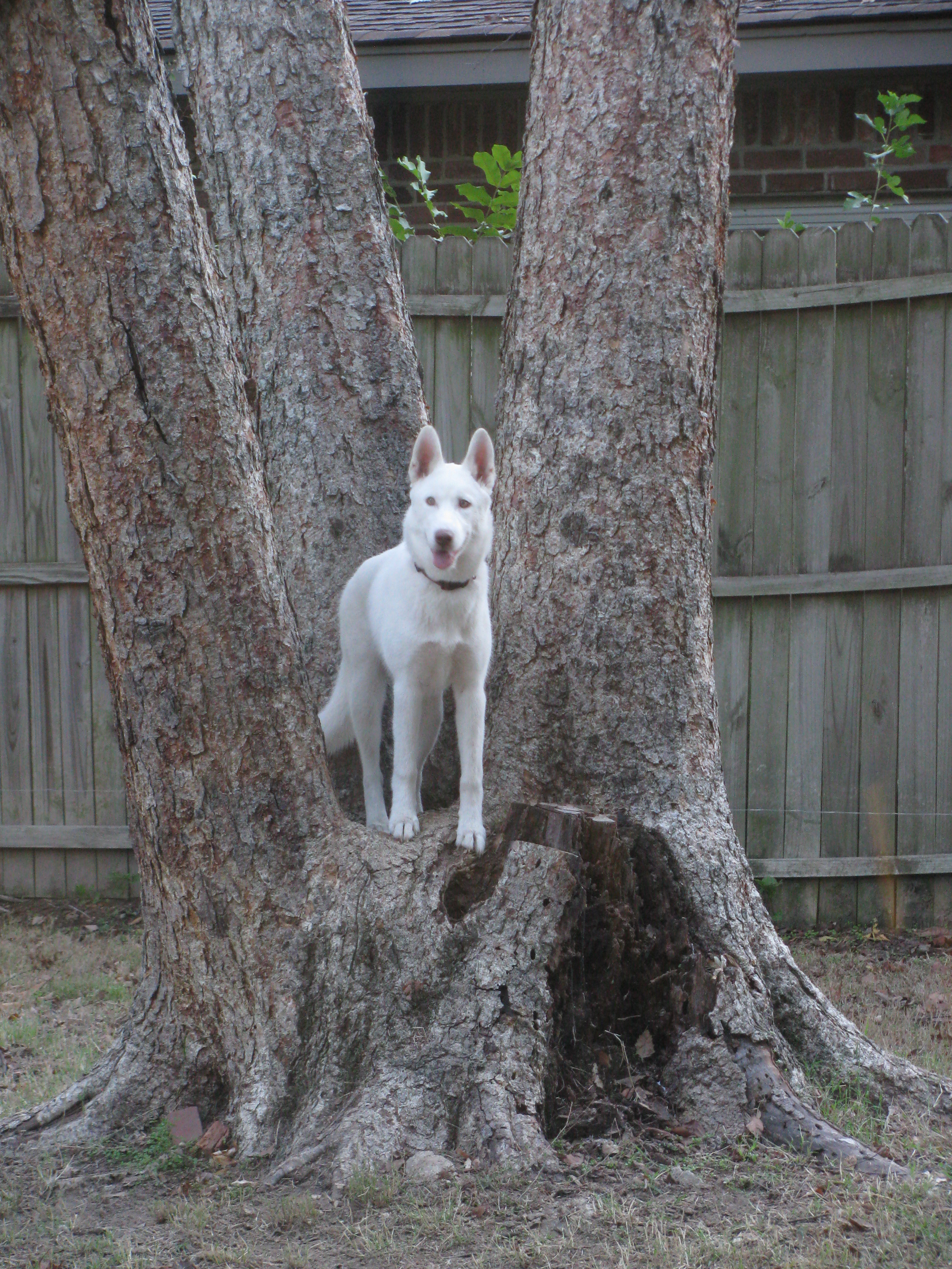 10022011 (2)