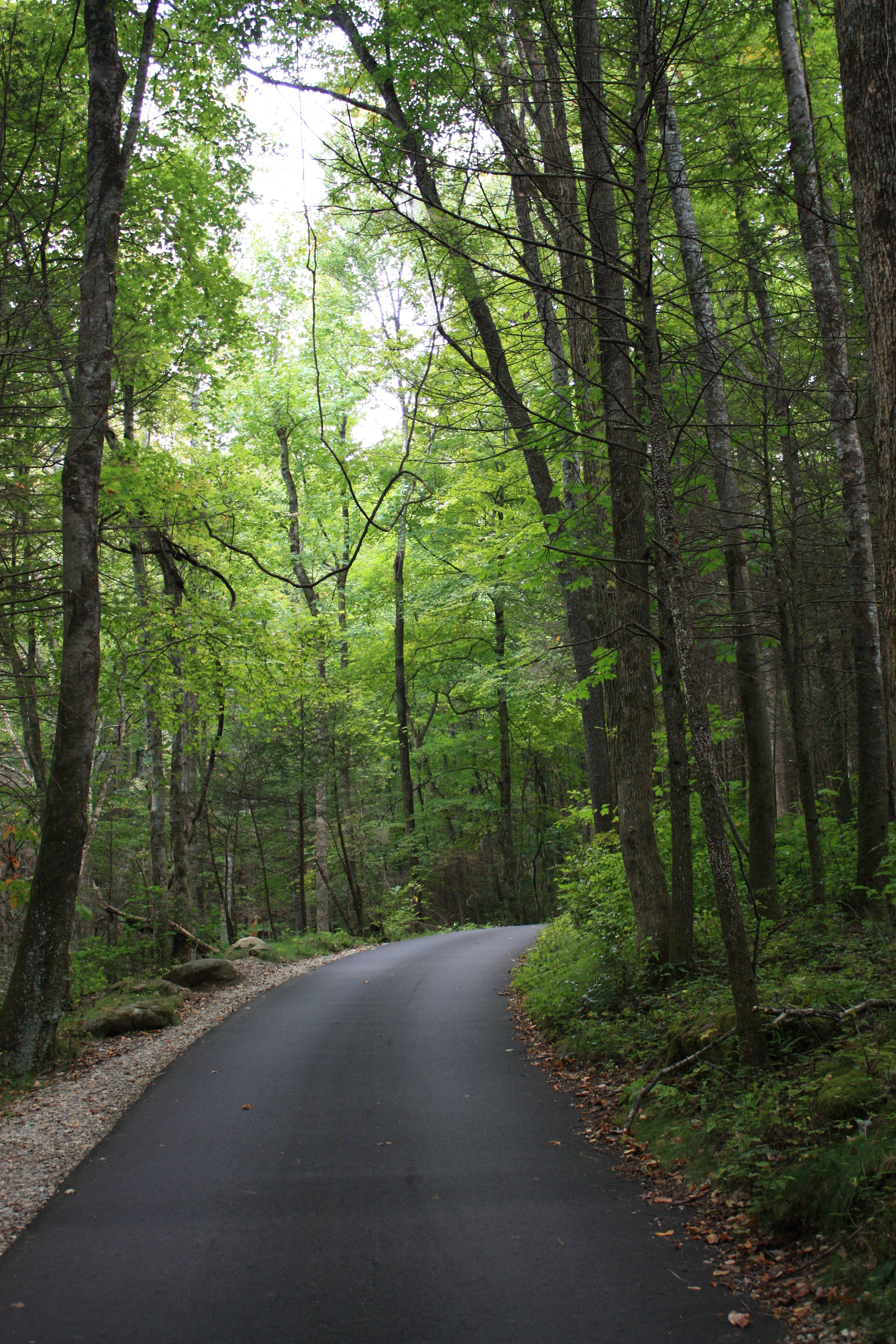 Gatlinburb 2012 (184)