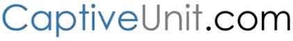 Captive units for it, bpo, engineering, production and market entry
