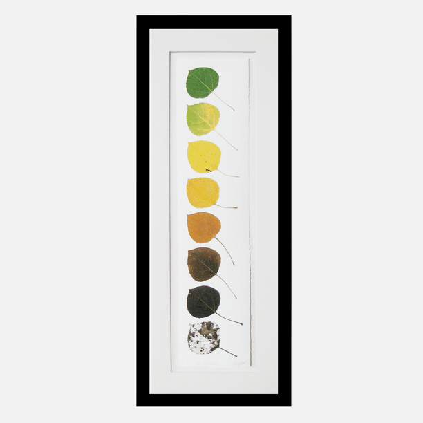 owenmortensen_aspen_progress2