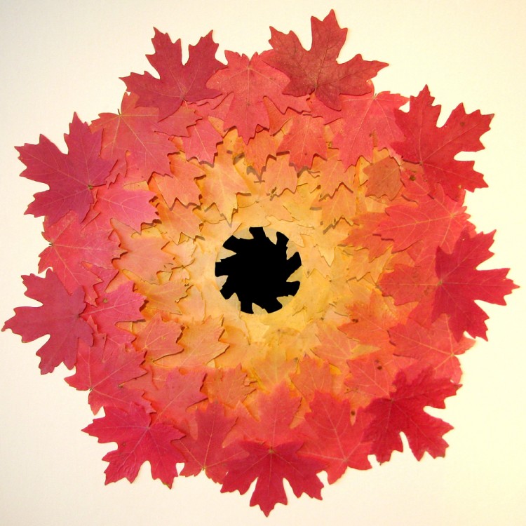 owenmortensen_gearflake