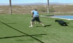 puma_agility