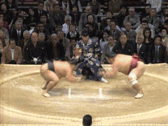 sumo_battle