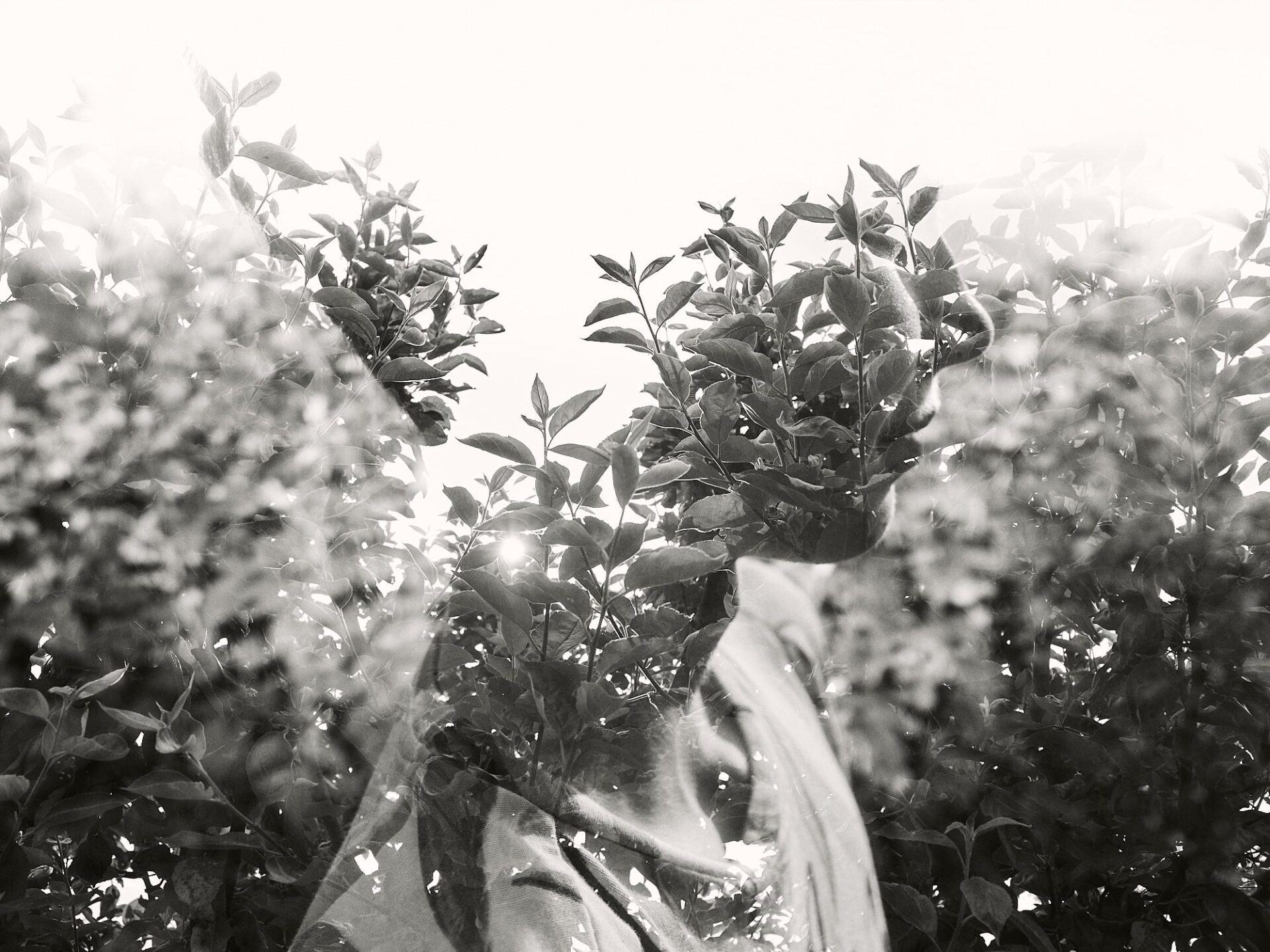 relander-2