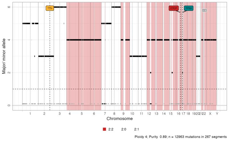 Plot Genome Wide Vafs Plot Gw Vaf Cnaqc - 8K Light Arts for Desktop