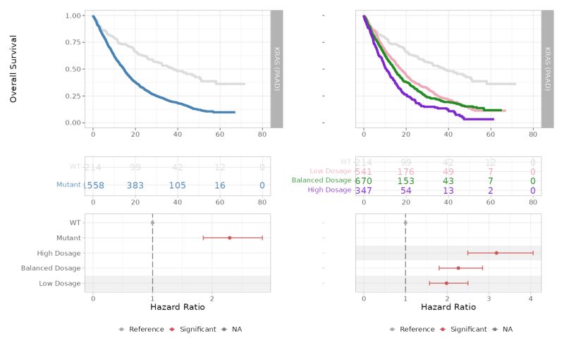 Survival Plot Instructions - Light Illustrations - Perfect 4K Collection