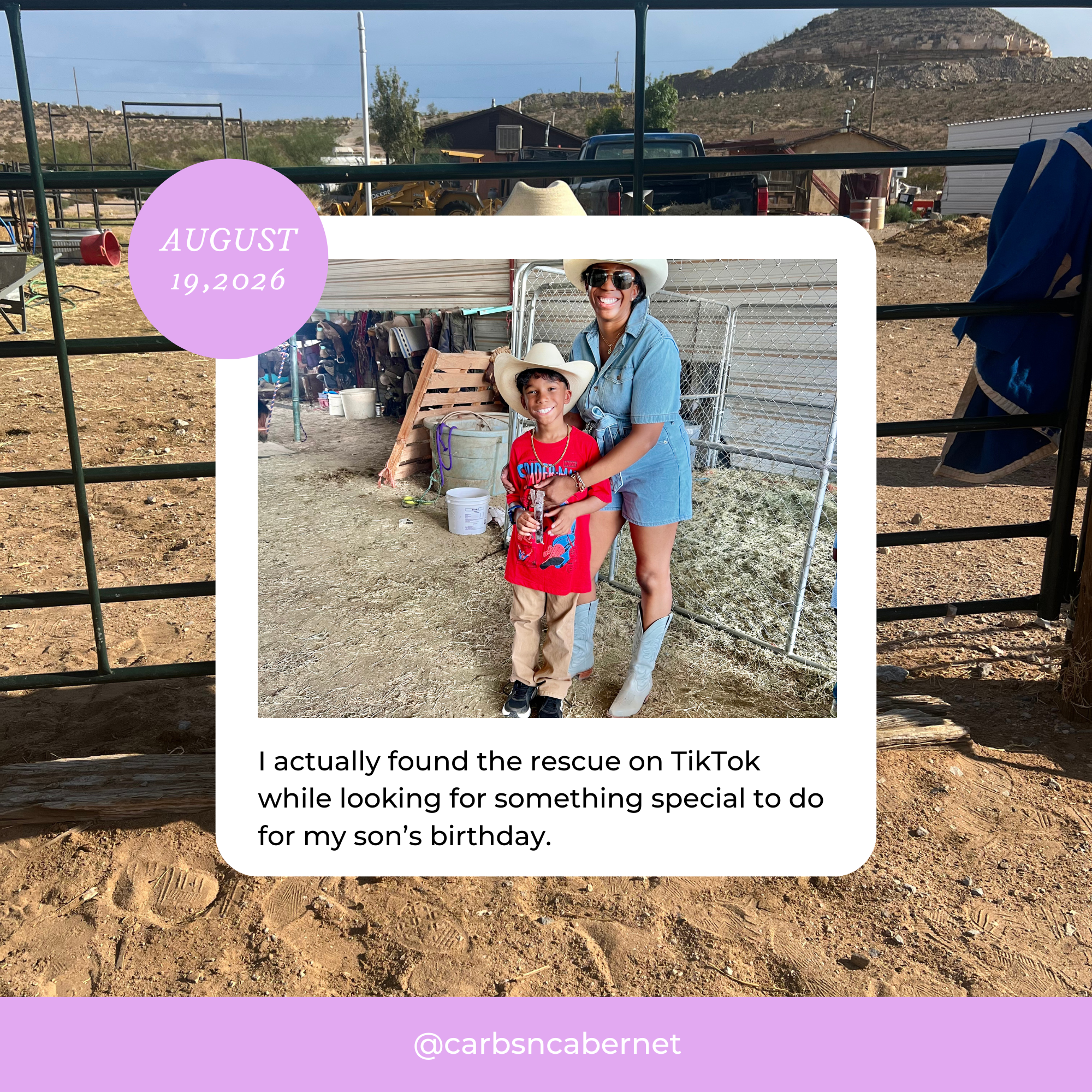 Mom Tip Tuesday: A Hidden Horse Rescue in El Paso Worth Visiting