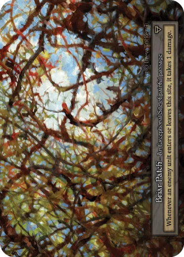 Briar Patch (Exceptional)
