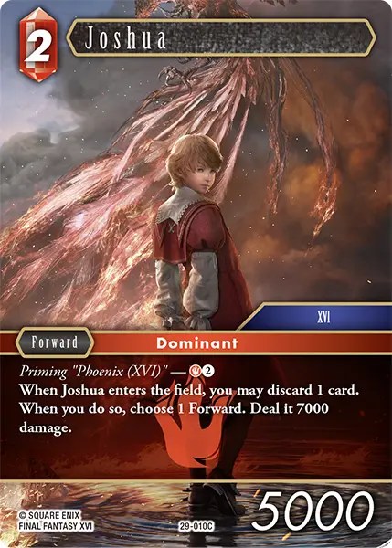 29-010C Joshua