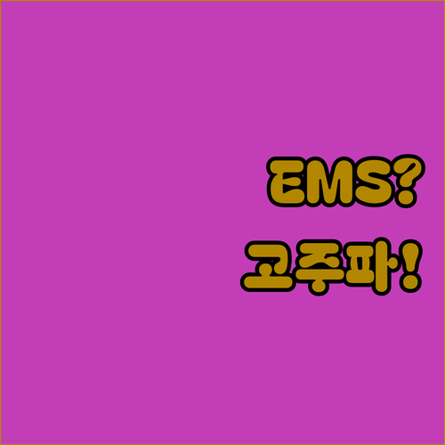 EMS와 고주파 두피 마사지기 중 당신에게 딱 맞는 것은