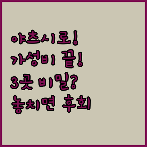 야츠시로 호텔 가성비 끝판왕 3곳의 숨겨진 비밀