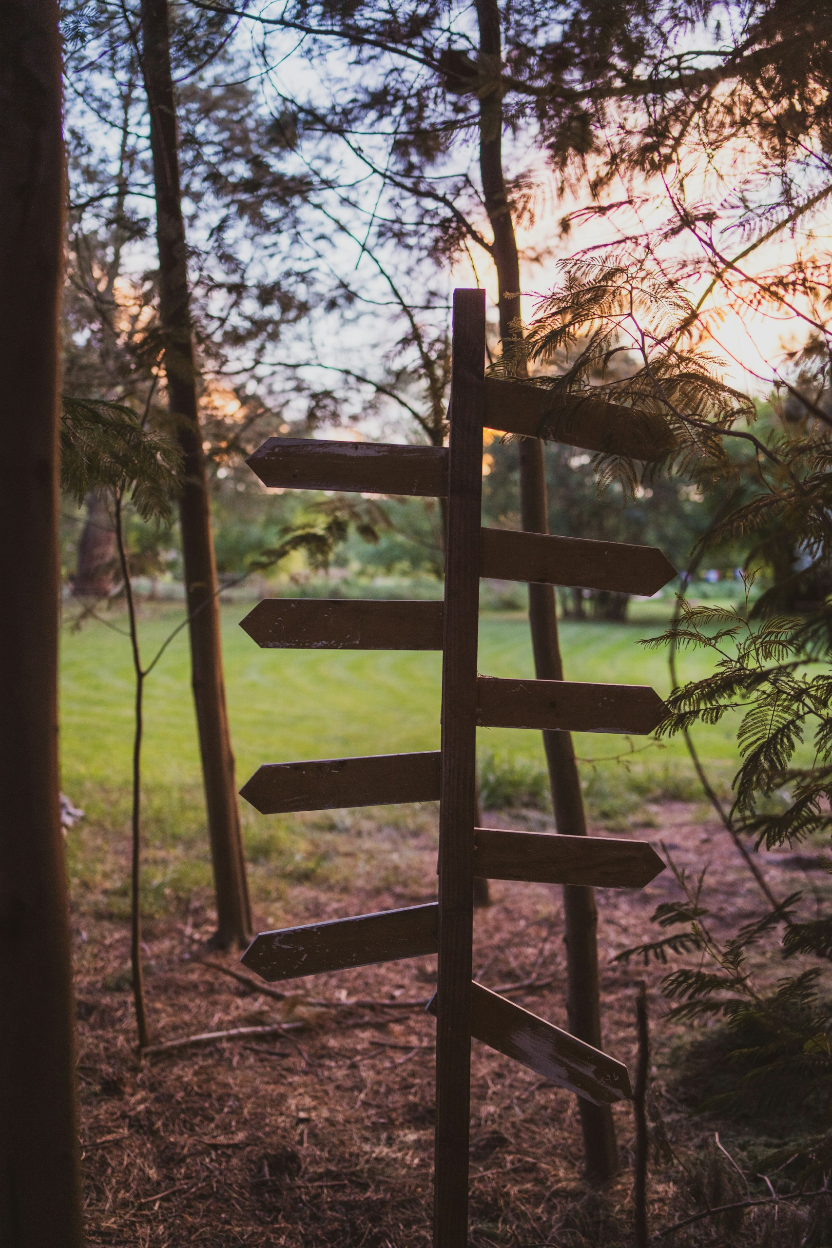 Wooden signpost with multiple directional arrows in a forest