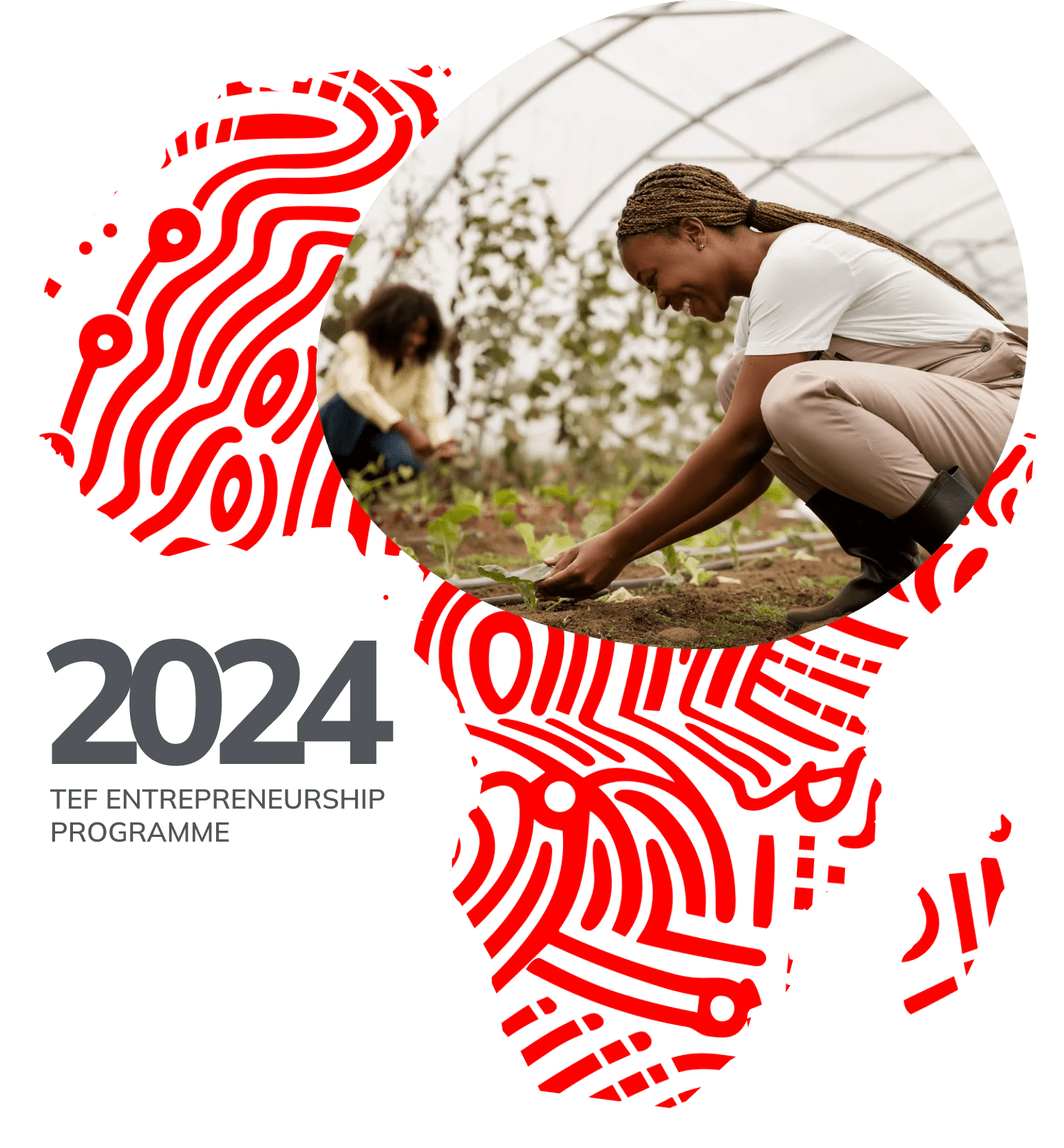 Tony Elumelu Foundation Entrepreneurship Programme (TEEP)