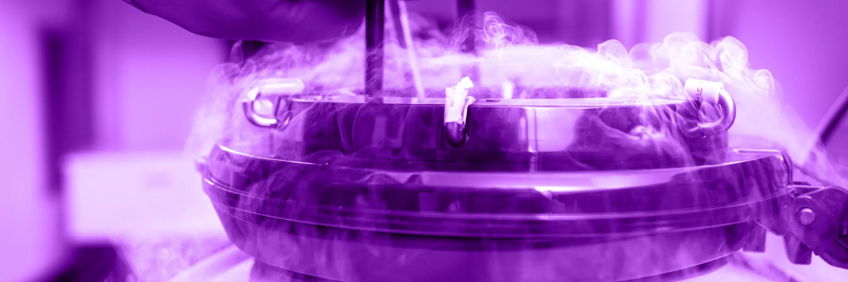 Pdf Elective Frozen Embryo Transfer Freeze All There Seems To Be - Minimal Design Collection - 8K Quality