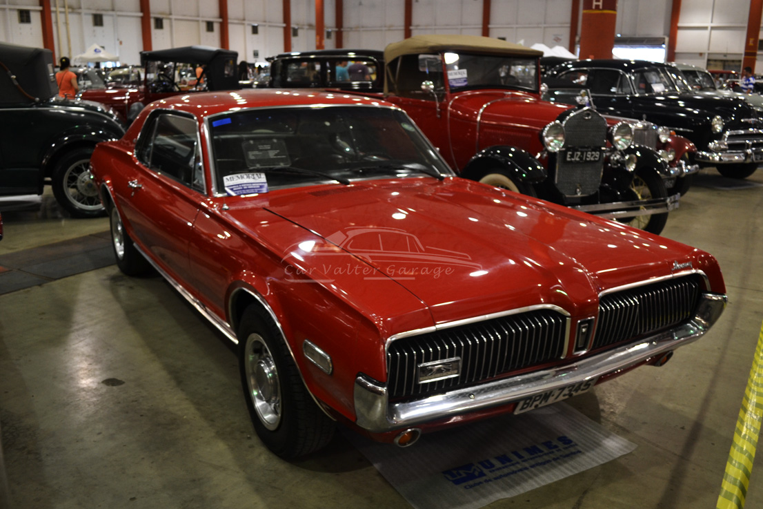 Jaguar Mercury