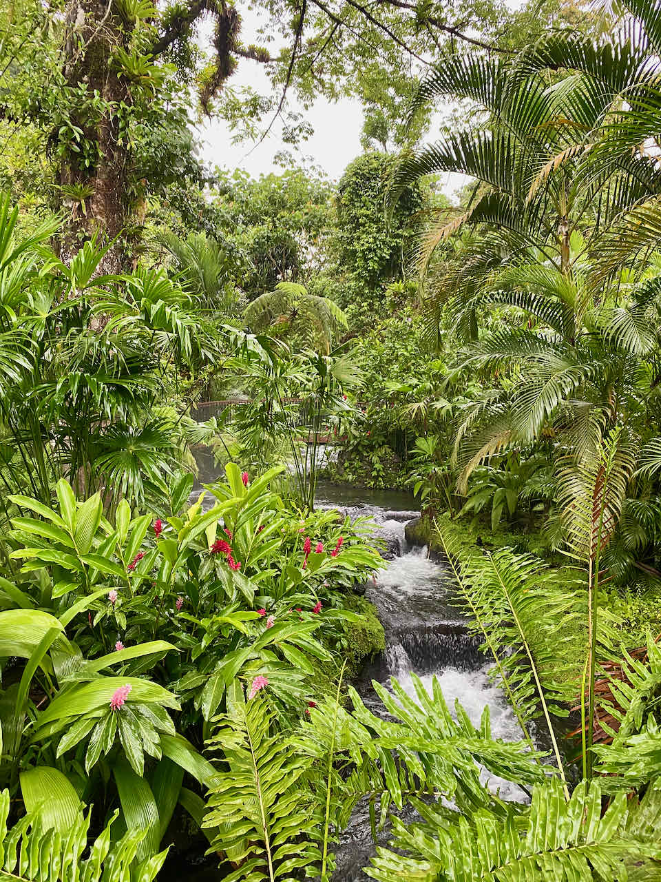 Tabacon Costa Rica Hotel Review