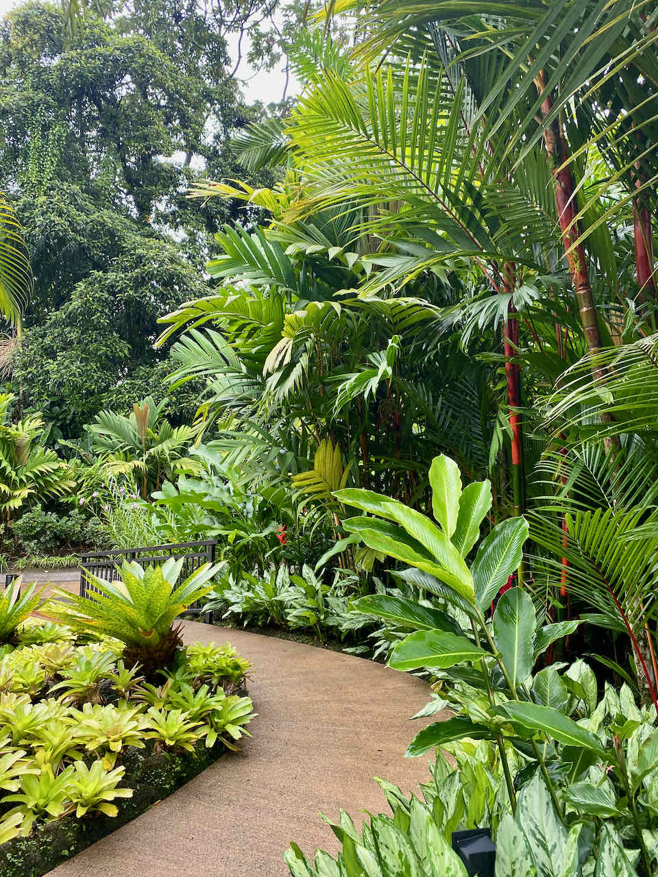Chable Hotel Tour by CaribbeanJourney.com