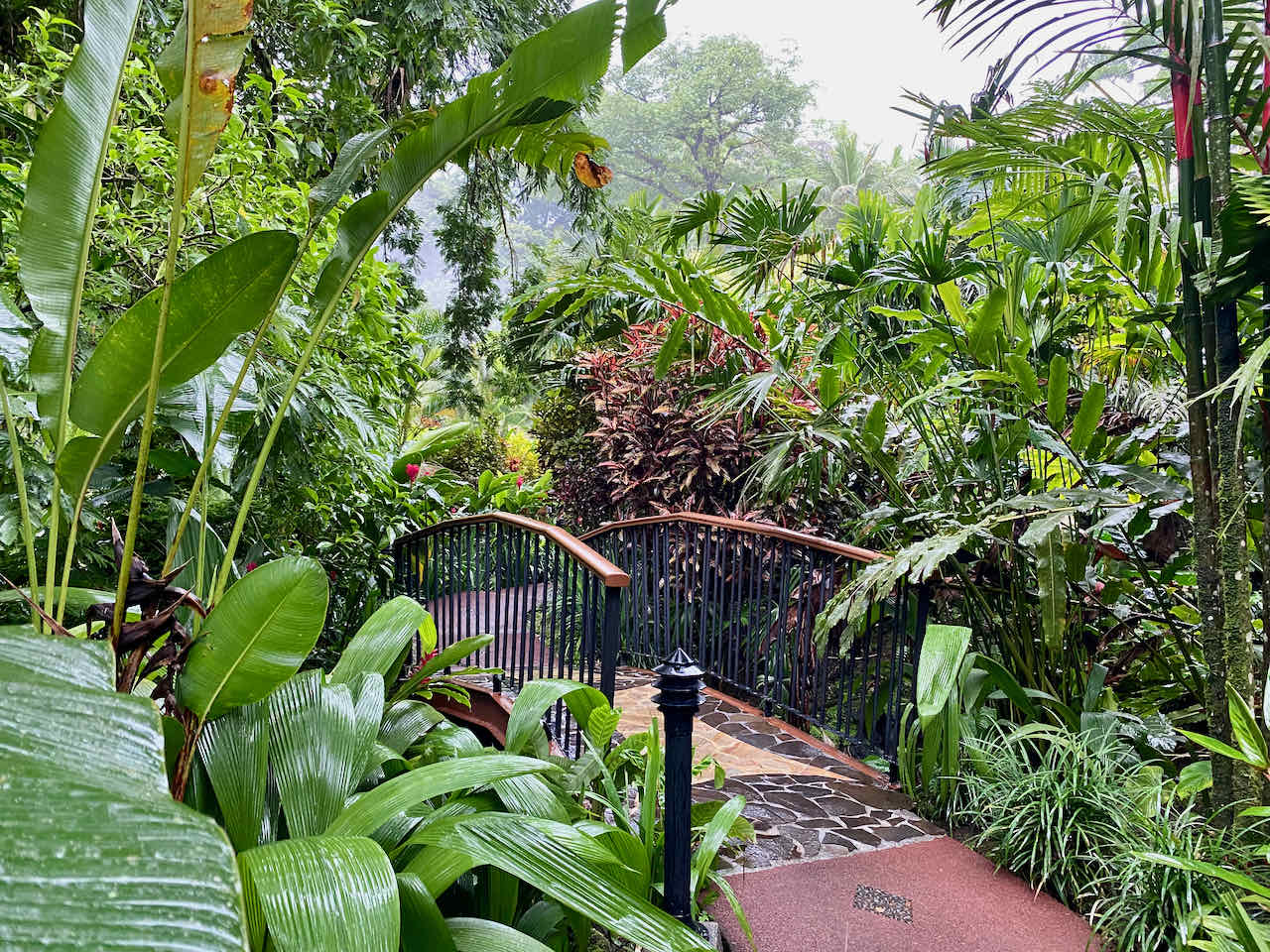Tabacon Costa Rica Hotel Review