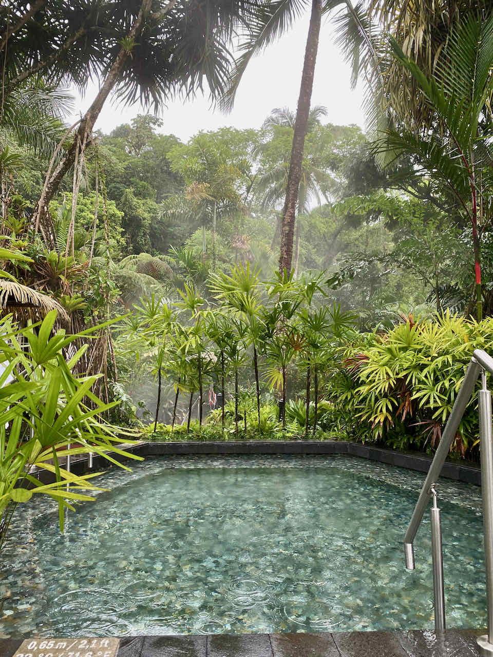 Tabacon Costa Rica Hotel Review