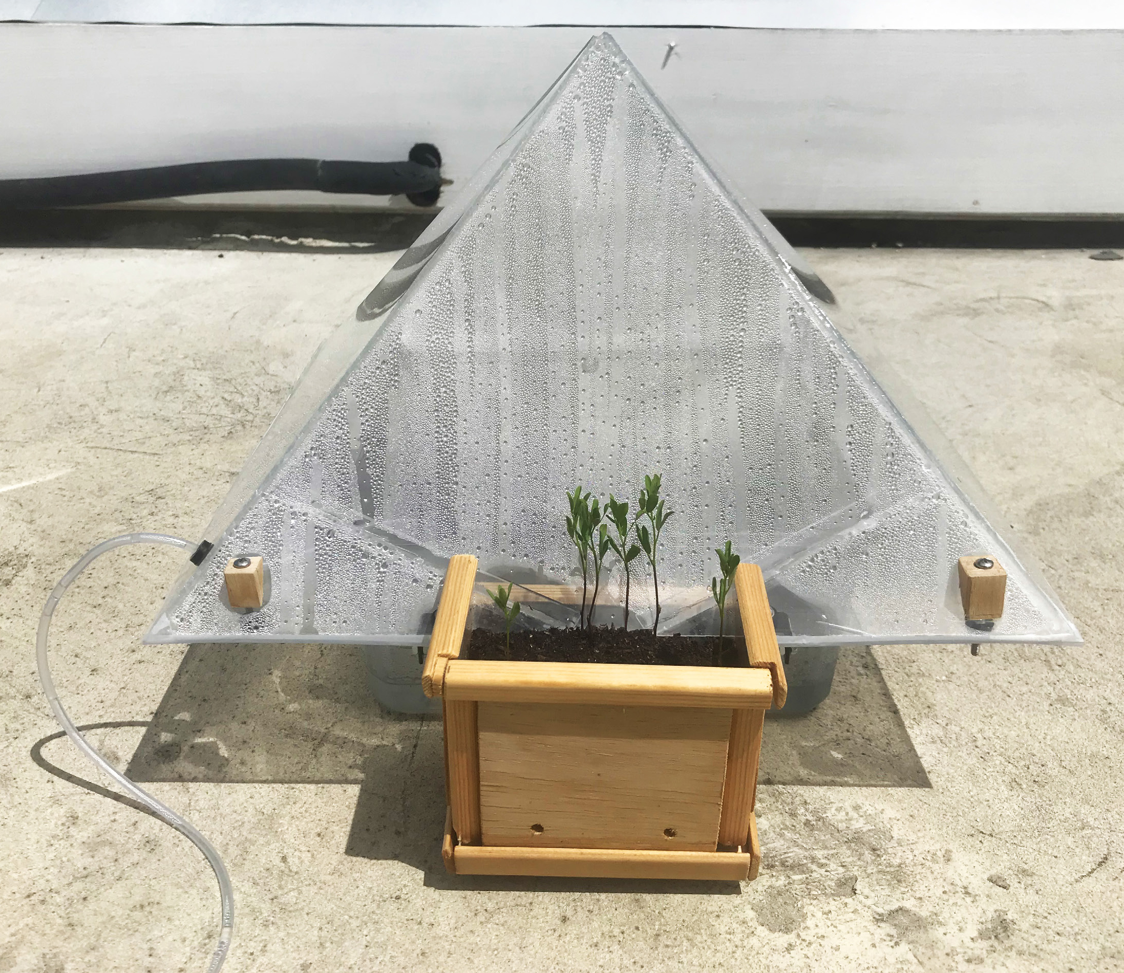 Taisha Carrington, Ecosphere Reliquary: 7th Iteration, Seawater, acrylic, plants, dirt, 2020