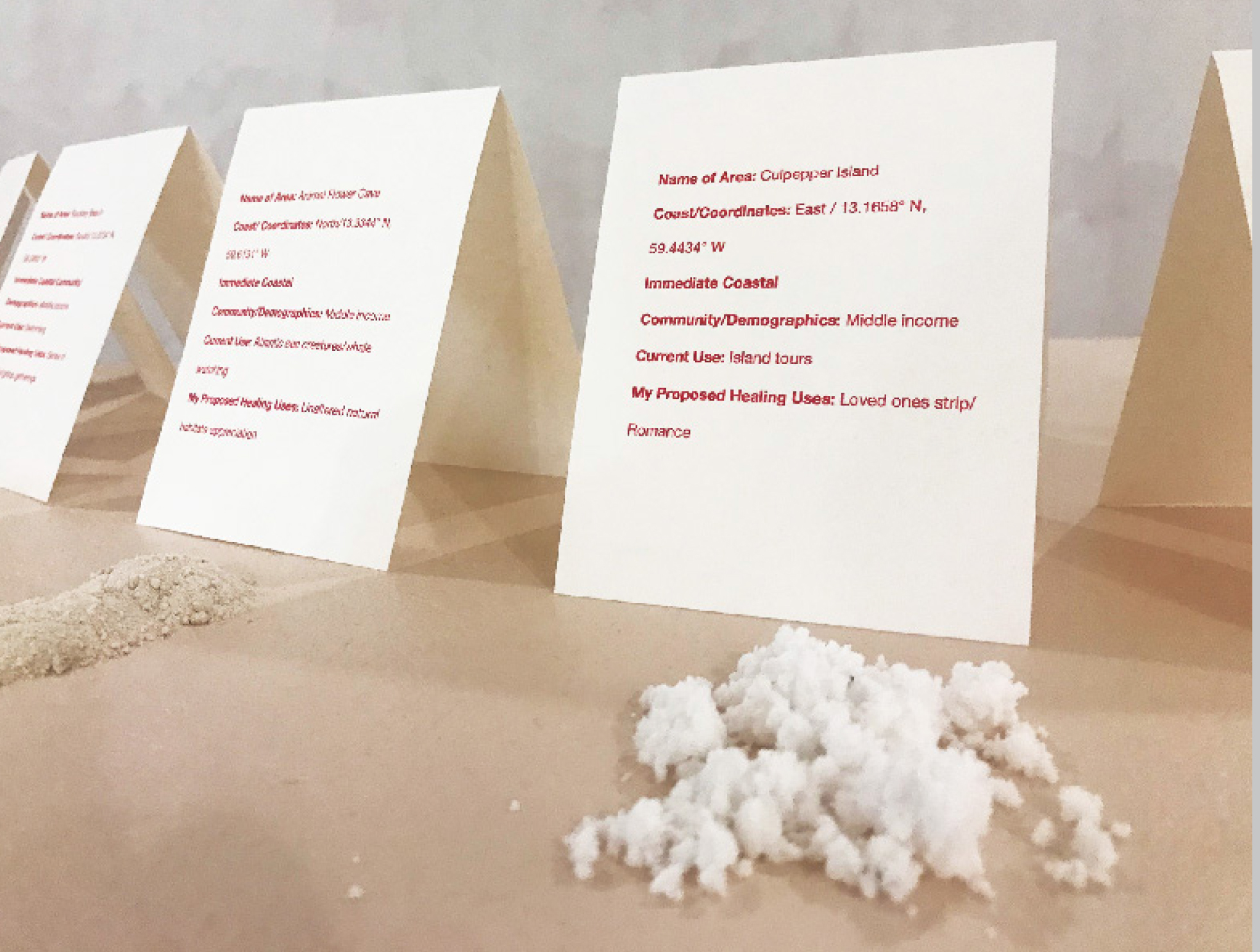 Taisha Carrington, Who owns the island?, Installation with sea salt and place cards, 2019