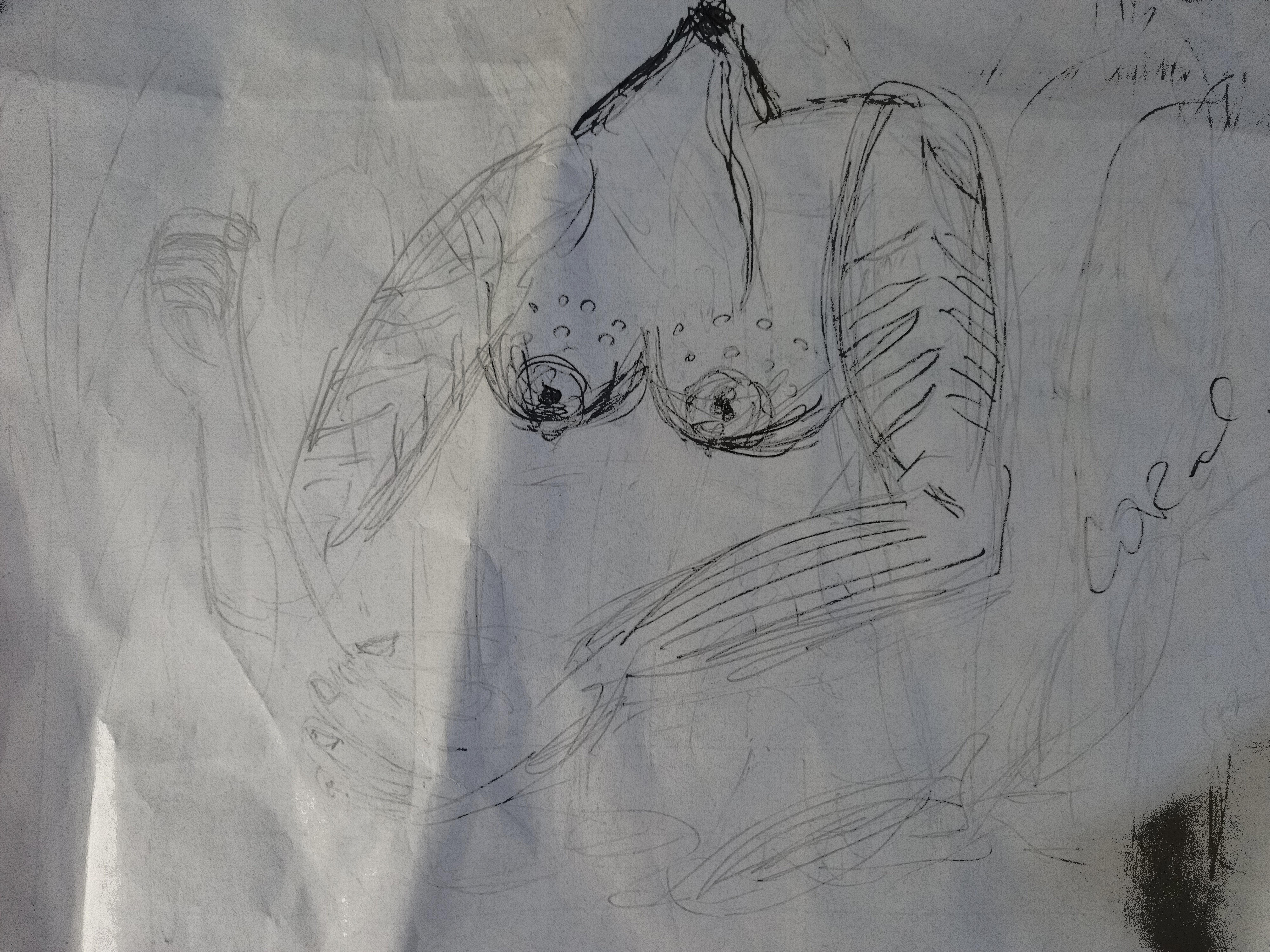 Romelinda Maldonado, Sketch in progress