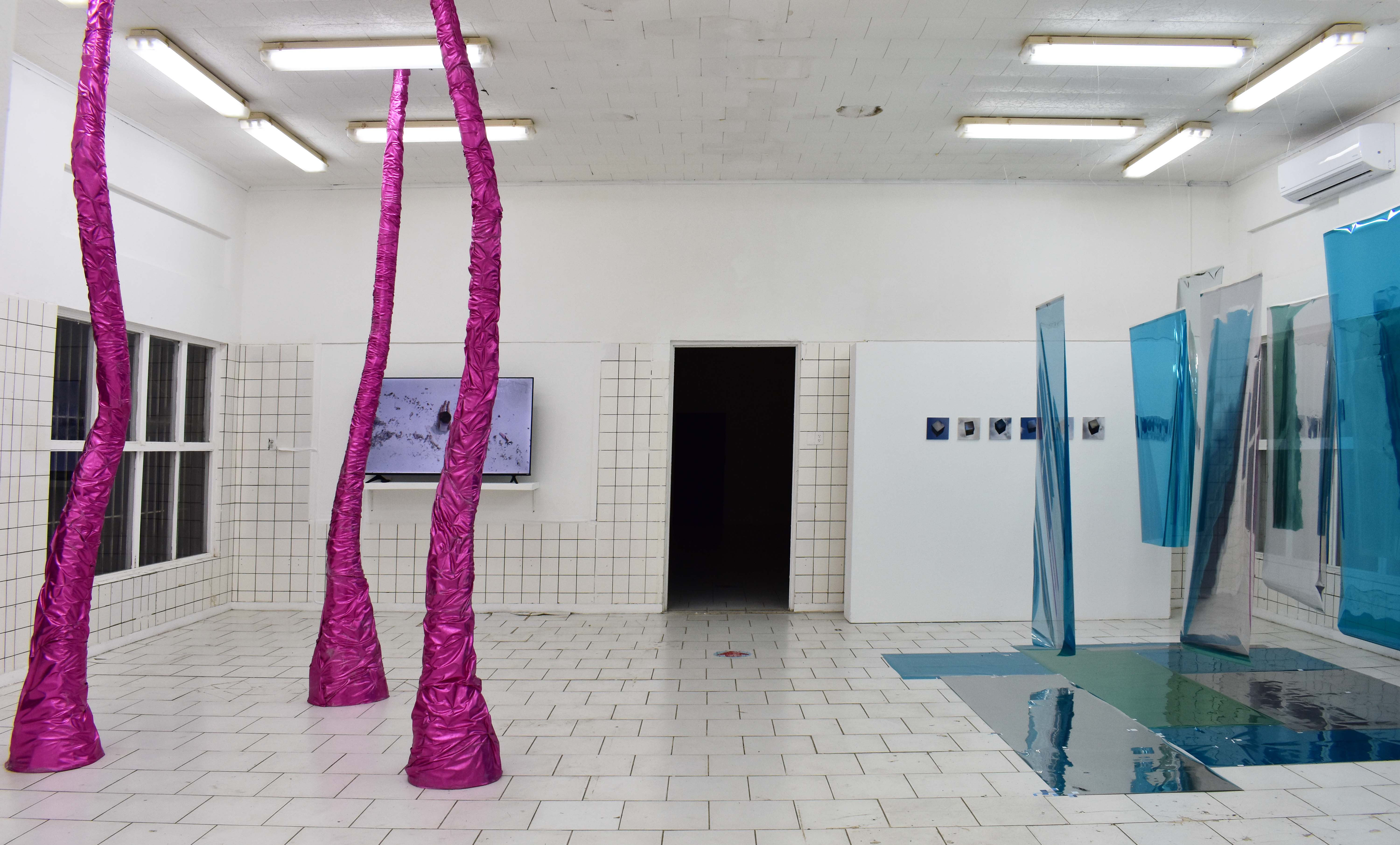 Caribbean Linked VI Exhibition shot.