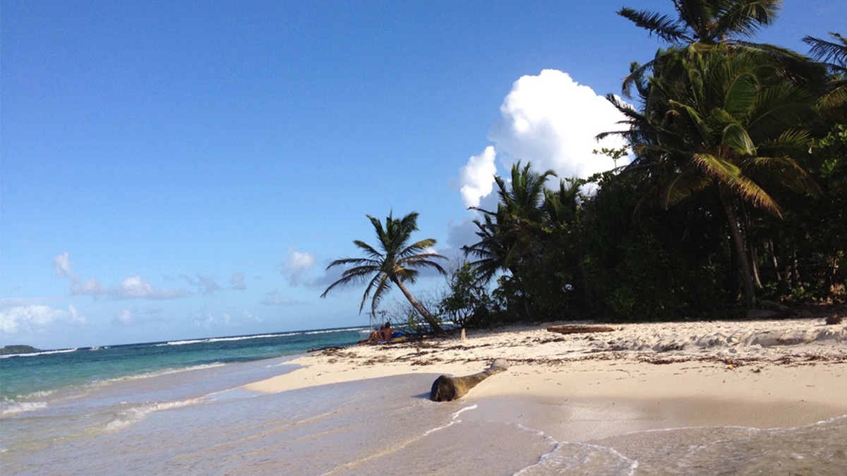 Air Antilles Adds More Eastern Caribbean Flights 