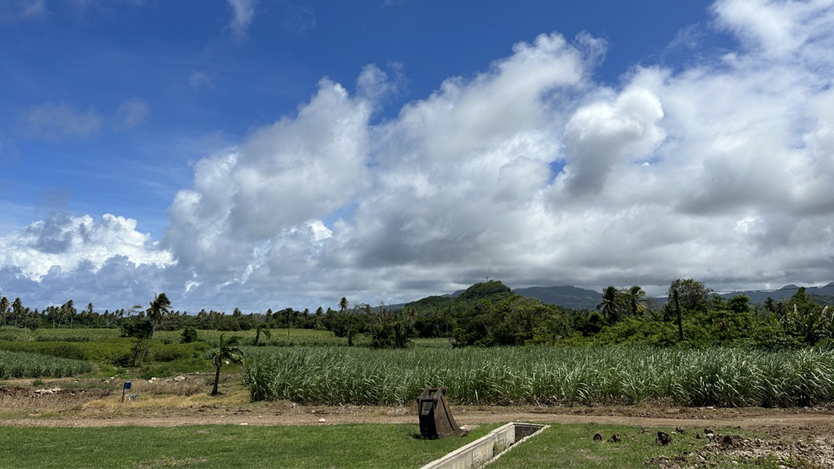 The Caribbean’s Most Interesting Rum Is In Grenada 