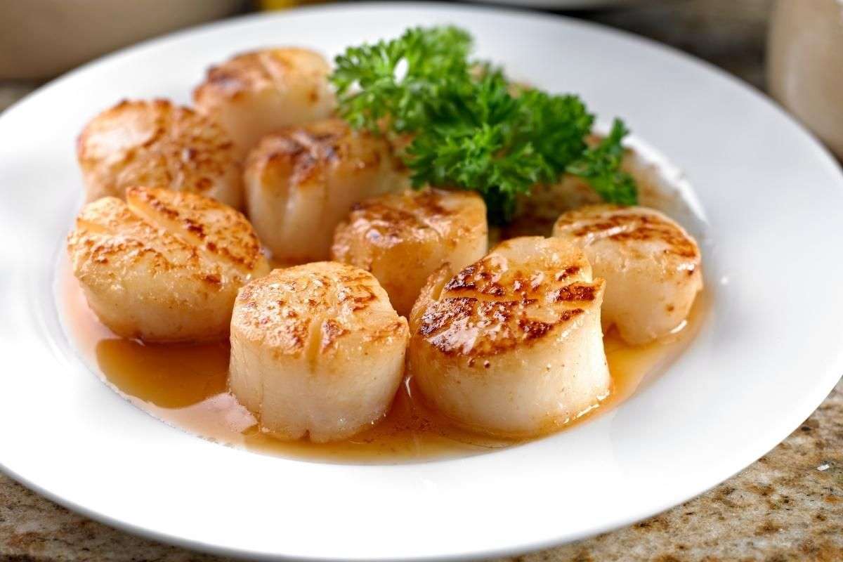 How to Cook Scallops