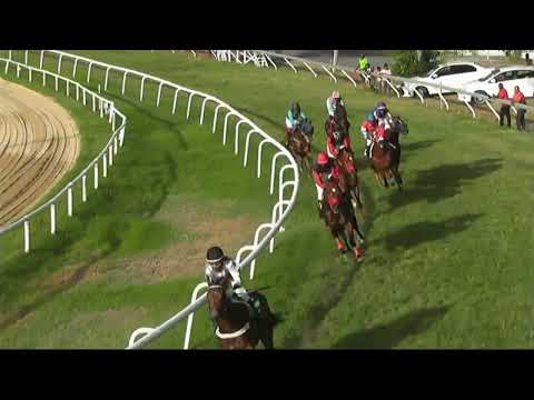 Brenner Pass gallops to victory