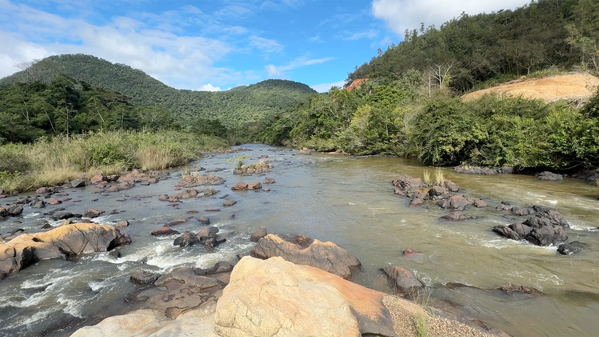 Caribbean Moment: Finding Serenity in Belize’s Mountain Pine Ridge Forest 