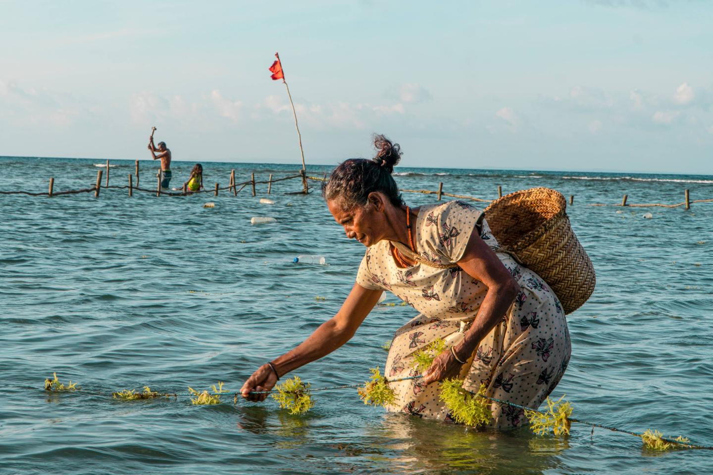 New $135 million UNDP and GEF initiative will support Small Island Developing States tackle drivers of environmental degradation