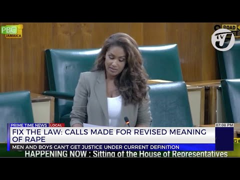 Fix the Law: Calls made for Revised Meaning of Rape | TVJ News